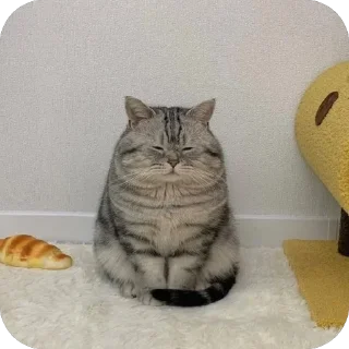 🥱