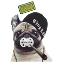 🚬