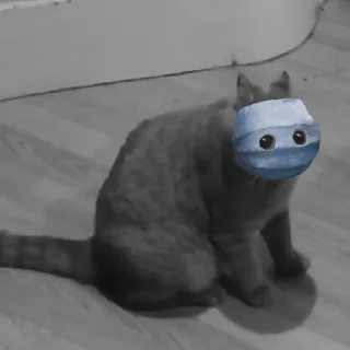 😷