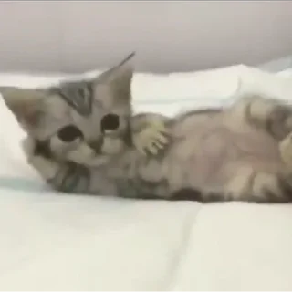 🤤
