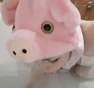 🐷