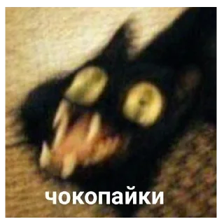 🤪