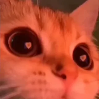 😍