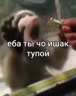☺️