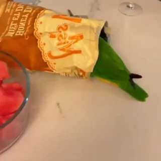🦜