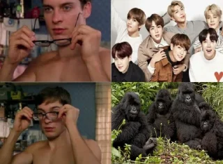 👓