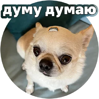 🤔