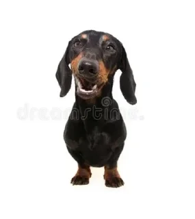 😨