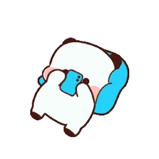 🐼