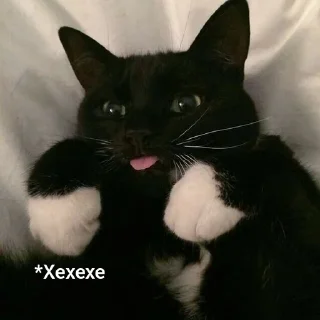 😂