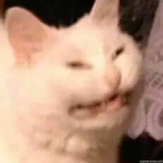 👹