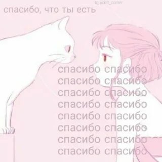 💞