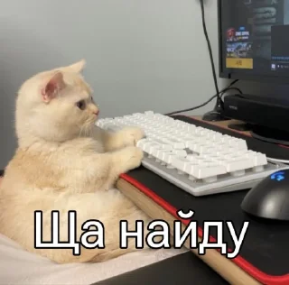 🤓
