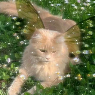 😇