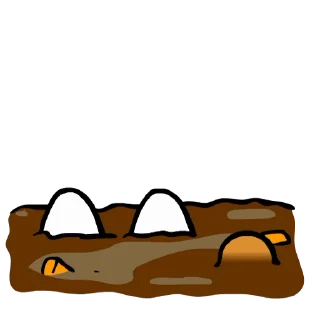 💩