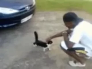 👊