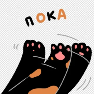 👋