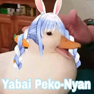 🦆