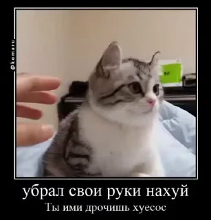 😏