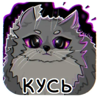 🐈