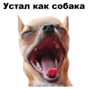 😴