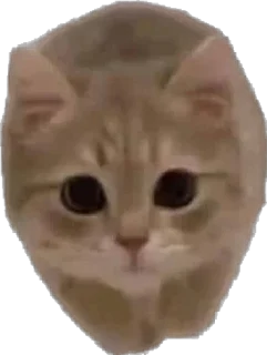 👀