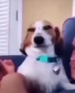 😏