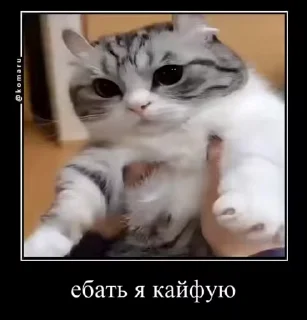 😩