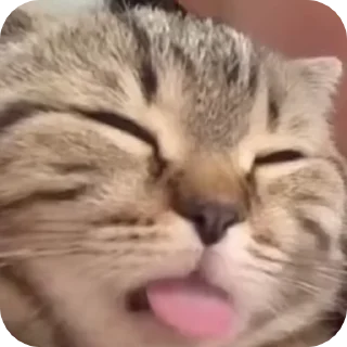 😛