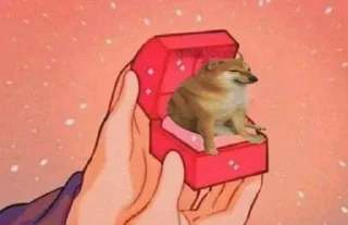 💍