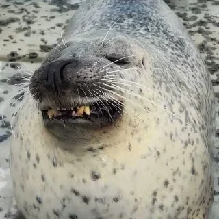 😖
