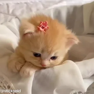 😓