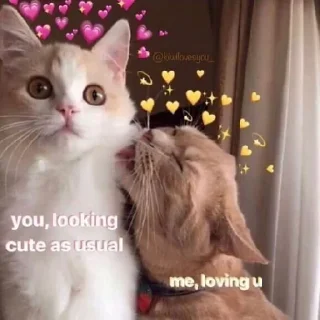 😍