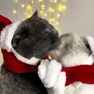 🎅