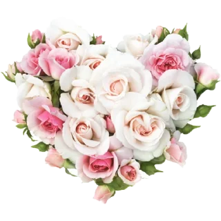 💕