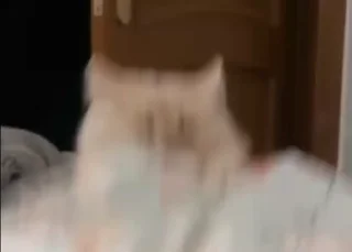 💃