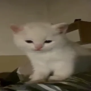 😊