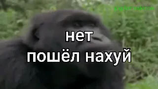 🤩