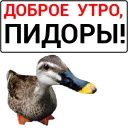 🦆