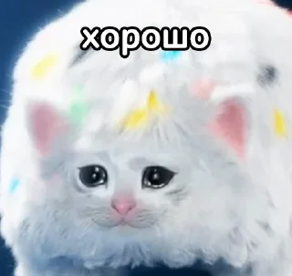 👌