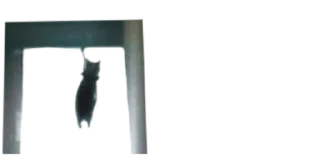 😵
