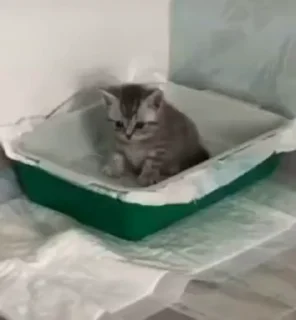 😟