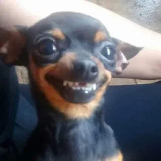 😏