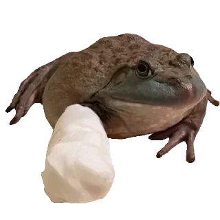🐸