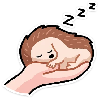 😴