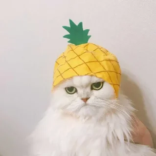🍍