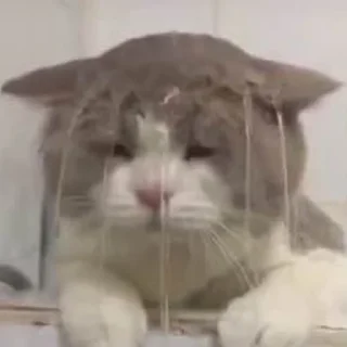 😕