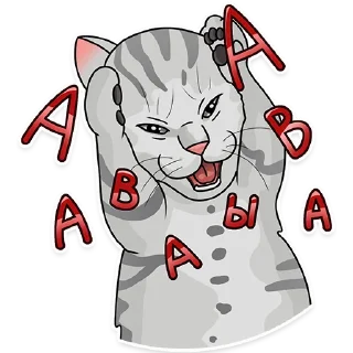 🙀