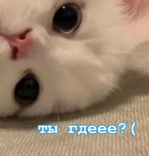 🥲