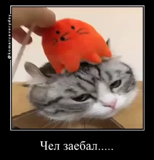 😬